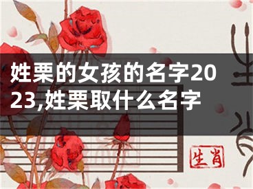 姓栗的女孩的名字2023,姓栗取什么名字