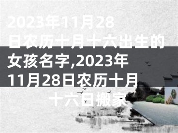 2023年11月28日农历十月十六出生的女孩名字,2023年11月28日农历十月十六日搬家