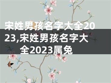 宋姓男孩名字大全2023,宋姓男孩名字大全2023属兔