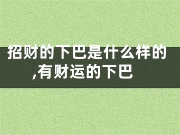 招财的下巴是什么样的,有财运的下巴