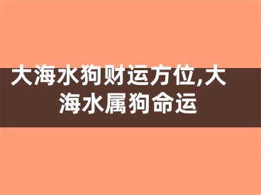 大海水狗财运方位,大海水属狗命运