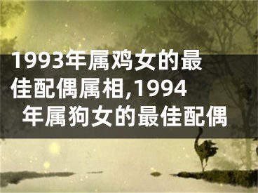 1993年属鸡女的最佳配偶属相,1994年属狗女的最佳配偶