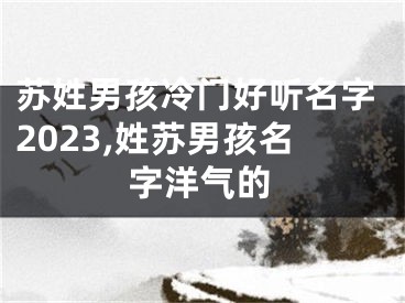 苏姓男孩冷门好听名字2023,姓苏男孩名字洋气的