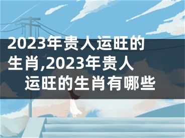 2023年贵人运旺的生肖,2023年贵人运旺的生肖有哪些