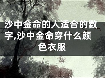 沙中金命的人适合的数字,沙中金命穿什么颜色衣服