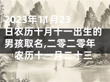 2023年11月23日农历十月十一出生的男孩取名,二零二零年农历十一月二十三