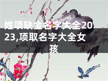 姓项缺金名字大全2023,项取名字大全女孩