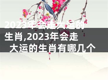 2023年会走大运的生肖,2023年会走大运的生肖有哪几个