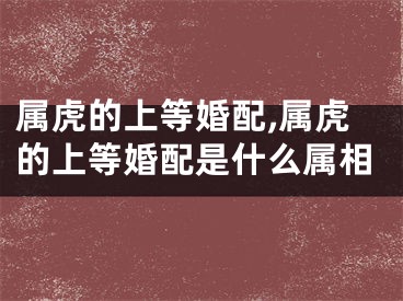 属虎的上等婚配,属虎的上等婚配是什么属相