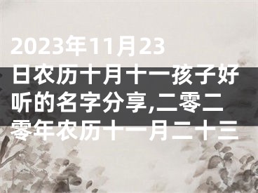 2023年11月23日农历十月十一孩子好听的名字分享,二零二零年农历十一月二十三