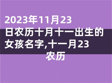 2023年11月23日农历十月十一出生的女孩名字,十一月23农历