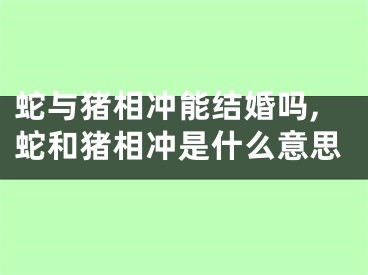 蛇与猪相冲能结婚吗,蛇和猪相冲是什么意思