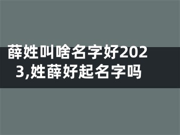 薛姓叫啥名字好2023,姓薛好起名字吗