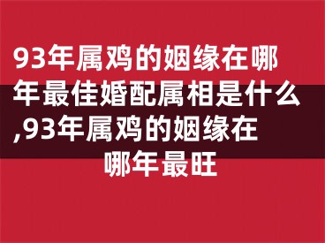 93年属鸡的姻缘在哪年最佳婚配属相是什么,93年属鸡的姻缘在哪年最旺