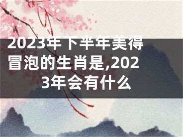 2023年下半年美得冒泡的生肖是,2023年会有什么