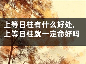 上等日柱有什么好处,上等日柱就一定命好吗