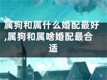 属狗和属什么婚配最好,属狗和属啥婚配最合适