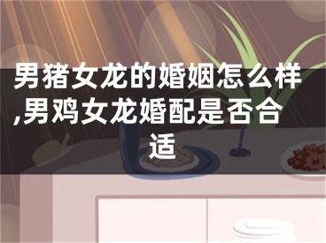 男猪女龙的婚姻怎么样,男鸡女龙婚配是否合适