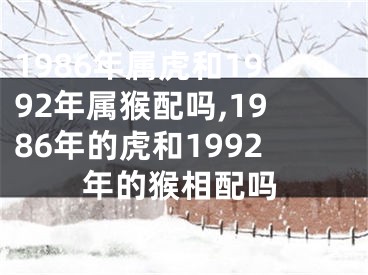 1986年属虎和1992年属猴配吗,1986年的虎和1992年的猴相配吗