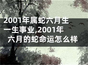 2001年属蛇六月生一生事业,2001年六月的蛇命运怎么样