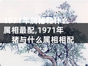 1971年属猪和什么属相最配,1971年猪与什么属相相配