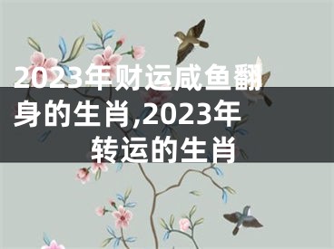 2023年财运咸鱼翻身的生肖,2023年转运的生肖