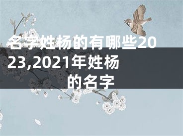 名字姓杨的有哪些2023,2021年姓杨的名字