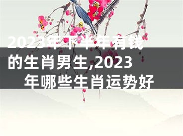 2023年下半年有钱的生肖男生,2023年哪些生肖运势好