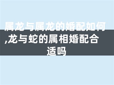 属龙与属龙的婚配如何,龙与蛇的属相婚配合适吗