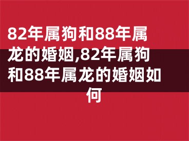 82年属狗和88年属龙的婚姻,82年属狗和88年属龙的婚姻如何