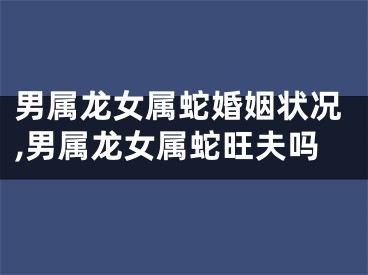 男属龙女属蛇婚姻状况,男属龙女属蛇旺夫吗