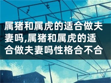 属猪和属虎的适合做夫妻吗,属猪和属虎的适合做夫妻吗性格合不合