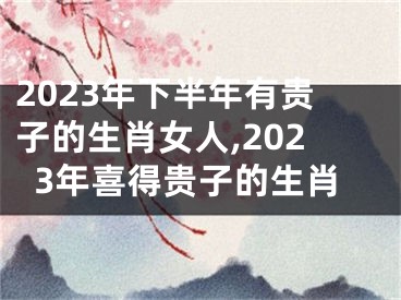 2023年下半年有贵子的生肖女人,2023年喜得贵子的生肖