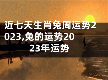 近七天生肖兔周运势2023,兔的运势2023年运势