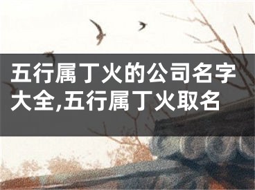 五行属丁火的公司名字大全,五行属丁火取名