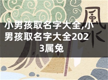 小男孩取名字大全,小男孩取名字大全2023属兔