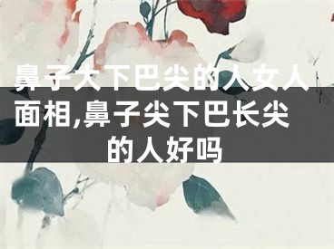 鼻子大下巴尖的人女人面相,鼻子尖下巴长尖的人好吗