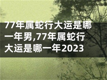 77年属蛇行大运是哪一年男,77年属蛇行大运是哪一年2023