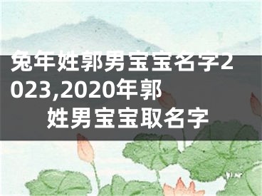 兔年姓郭男宝宝名字2023,2020年郭姓男宝宝取名字