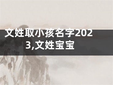 文姓取小孩名字2023,文姓宝宝