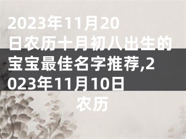 2023年11月20日农历十月初八出生的宝宝最佳名字推荐,2023年11月10日农历