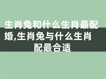 生肖兔和什么生肖最配婚,生肖兔与什么生肖配最合适