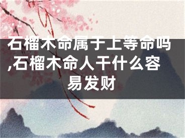 石榴木命属于上等命吗,石榴木命人干什么容易发财