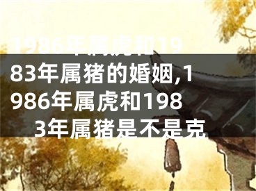 1986年属虎和1983年属猪的婚姻,1986年属虎和1983年属猪是不是克