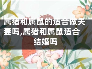 属猪和属鼠的适合做夫妻吗,属猪和属鼠适合结婚吗