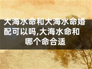 大海水命和大海水命婚配可以吗,大海水命和哪个命合适