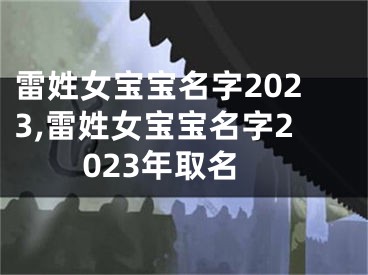 雷姓女宝宝名字2023,雷姓女宝宝名字2023年取名