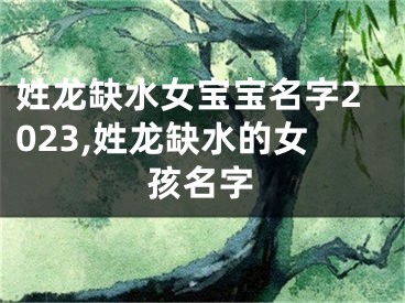 姓龙缺水女宝宝名字2023,姓龙缺水的女孩名字