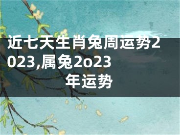 近七天生肖兔周运势2023,属兔2o23年运势