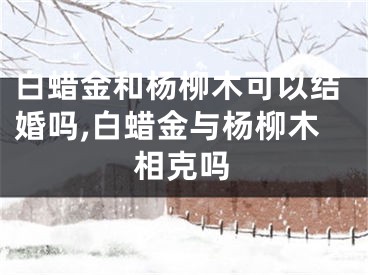 白蜡金和杨柳木可以结婚吗,白蜡金与杨柳木相克吗